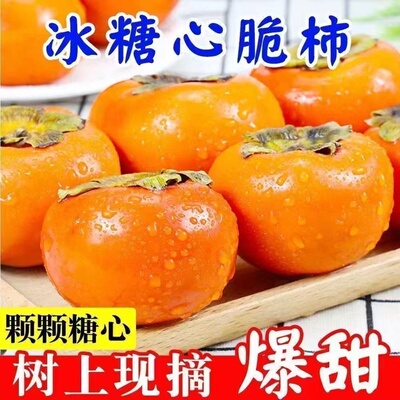 现货】正宗阳丰脆柿新鲜应季甜柿子巧克力脆柿无核硬柿子当季水果