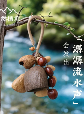 森野天然植愈满愿果壳铃挂件手作种子串音疗手摇铃铛果实挂饰配件