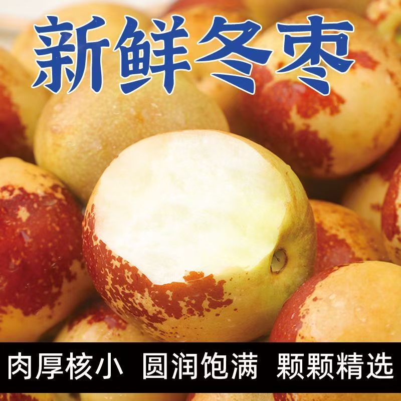 正宗山东沾化冬枣源头果园现摘直发脆甜新鲜多汁产地直发孕妇水果