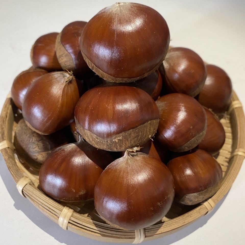 生板栗丹东板栗粉糯板栗农家现货生栗子板栗野生板栗批发蔬菜包邮