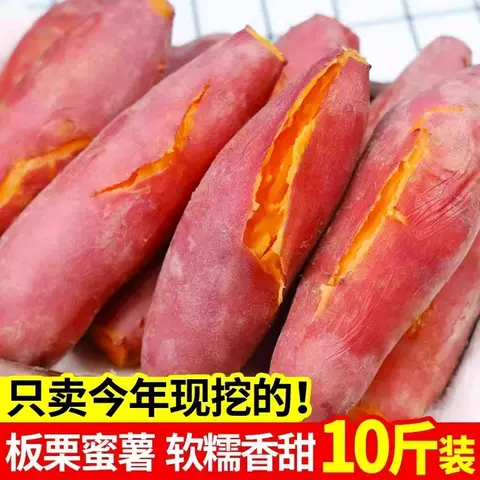 新鲜蜜薯板栗红薯沙地糖心地瓜农家自种番薯现挖黄心山芋甜蜜软糯 图片 2