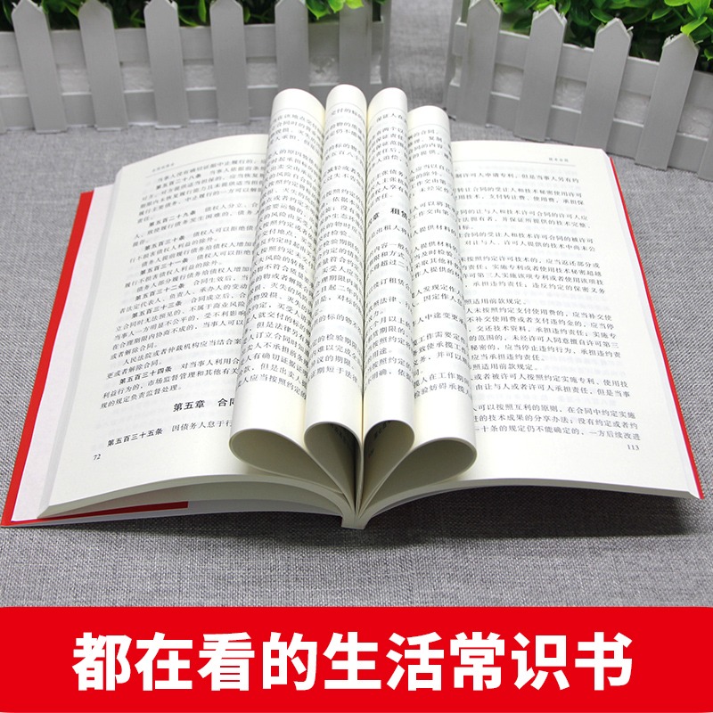 现货速发 民法典2023年版正版官方 实用版 新版中华人民共和国民法典 中国民主法制出版社 民法典司法解释婚姻法法律基础知识书籍 - 图2