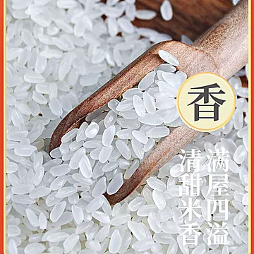 森稻福正宗东北五常大米10斤装【双层真空】[6元优惠券]-寻折猪