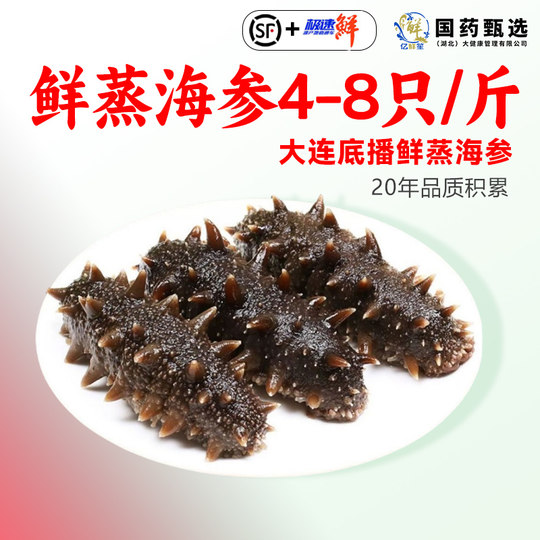 大连海参即食底播野生新鲜活辽参刺参非干货500g真空独立包装礼盒