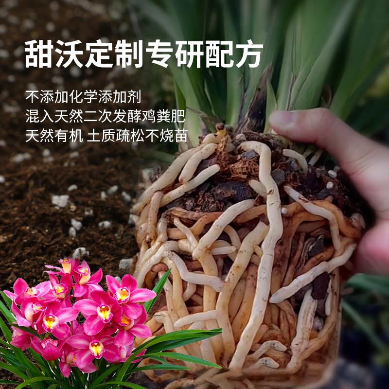 高端家用兰花土君子兰蝴蝶兰专用营养土透气促根种植花卉兰科花土 - 图2