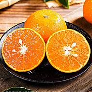 正宗云南爆甜沃柑4.5斤