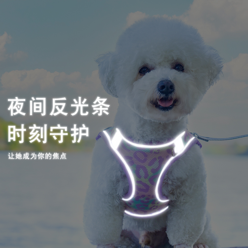 背心式狗狗牵引绳小型犬泰迪比熊博美胸背带宠物狗链子遛狗绳反光 - 图0