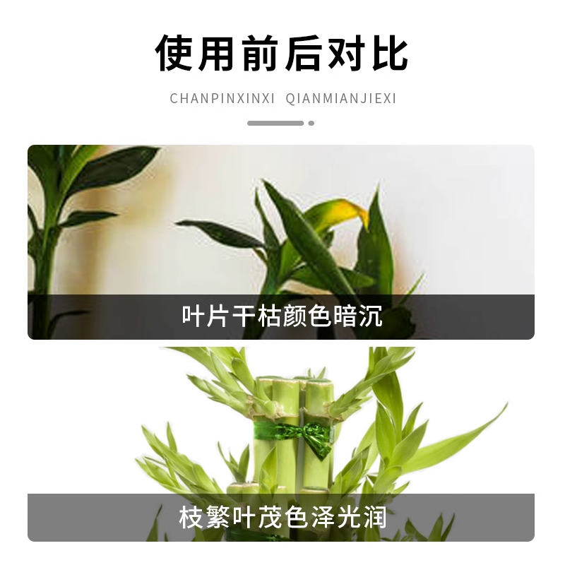 富贵竹专用营养液水培植物肥料观音竹子家用专治黄叶养花烂根预防 - 图2