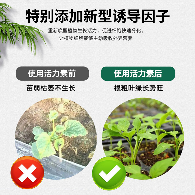 植物活力素养花通用生长素浓缩营养生根液促生长盆栽专用快速复活 - 图0