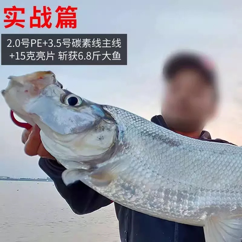 Carbon main line sub-line carbon line sub-lead line Japanese imported fishing line brand special sea fishing strong pull