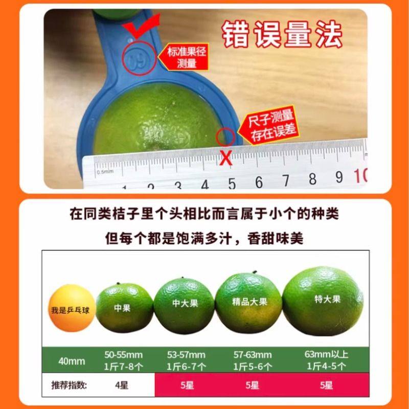 正宗广西皇帝柑贡柑橘子清甜多汁新鲜当季水果5斤整箱包邮,淘宝优惠券,粉丝福利购,淘宝优惠卷