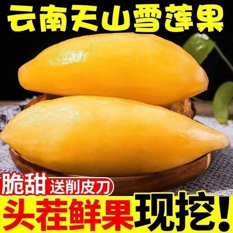 云南天山雪莲果新鲜水果当季现挖脆甜红心黄心新鲜雪连果水果,淘宝优惠券,粉丝福利购,淘宝优惠卷