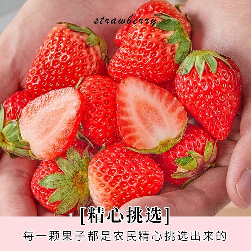 红颜草莓99奶油草莓新鲜当季孕妇水果整箱九九顺丰包邮大草莓回购,淘宝优惠券,粉丝福利购,淘宝优惠卷
