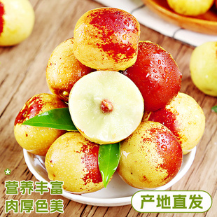 正宗山东沾化冬枣5斤！！