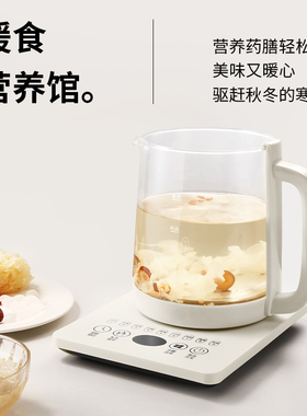 上亨养生壶SHZH-CFY05-1.5L白色 不加滤网
