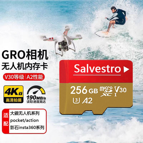 适用于大疆内存卡pocket3Action4/5Pro运动相机tf卡256G高速存储 - 图2