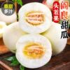 陕西阎良甜瓜净重4.5斤