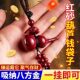 Cinnabar gourd keychain gourd lotus keychain pendant
