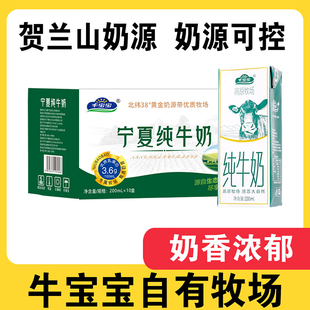 福利！宁夏高钙营养早餐牛奶