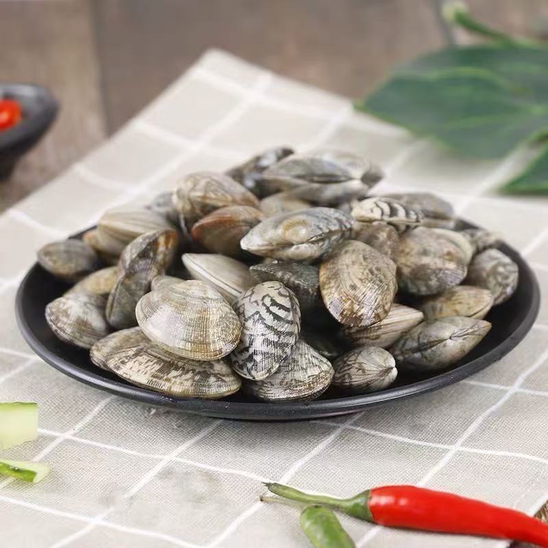 Seafood fresh sand scallops fresh flower clams variegated clams wild shellfish scallops wholesale tinfoil
