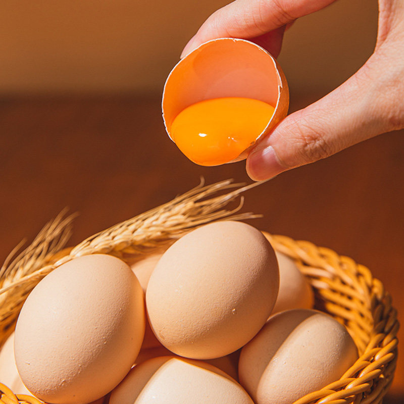 山林散养土鸡蛋正宗农家散养林下散养土鸡蛋营养早餐蛋30枚,淘宝优惠券,粉丝福利购,淘宝优惠卷