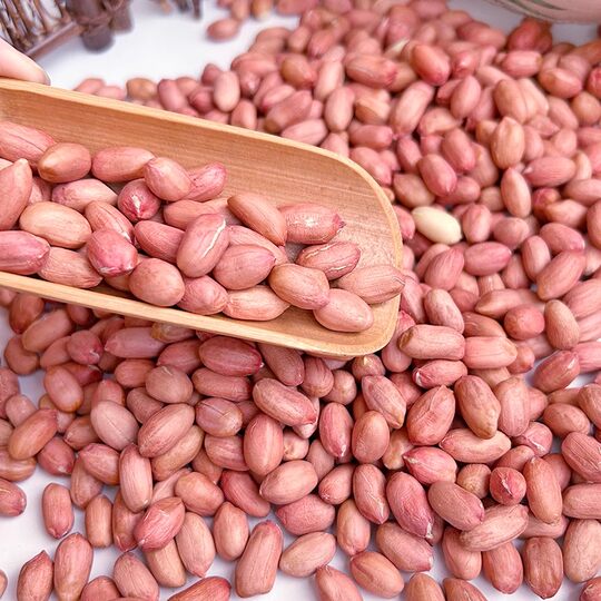 25-year-old fresh peanut kernels, large kernels, raw new goods, unshelled, large kernels, casual selection of high quality nuts