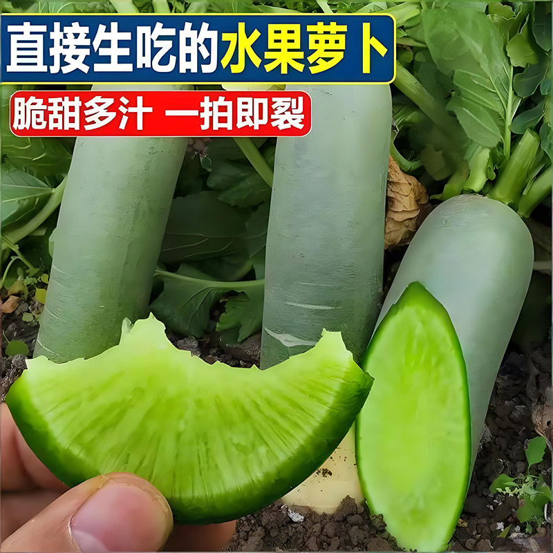 山东潍坊萝卜正宗水果萝卜脆甜不辣可生吃青萝卜新鲜现挖自种蔬菜,淘宝优惠券,粉丝福利购,淘宝优惠卷