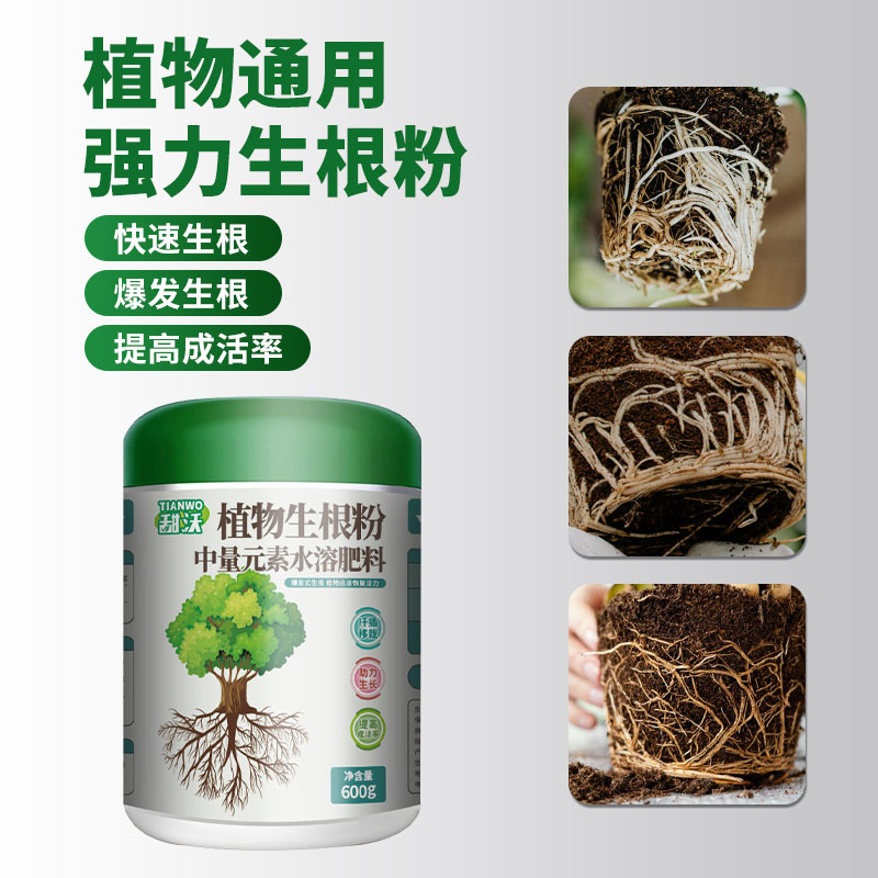 快速生根粉植物通用树木壮苗生根剂扦插移栽多肉营养液快速生根液 - 图0