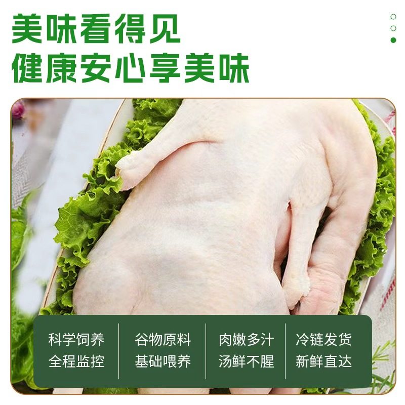 正宗樱桃谷鸭现杀鸭肉新鲜白条鸭冷冻农家散养无添加批发商用整只,淘宝优惠券,粉丝福利购,淘宝优惠卷