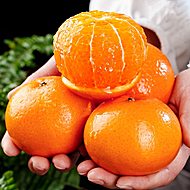 广西沃柑净重4.5斤！！