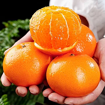 广西沃柑净重4.5斤！！