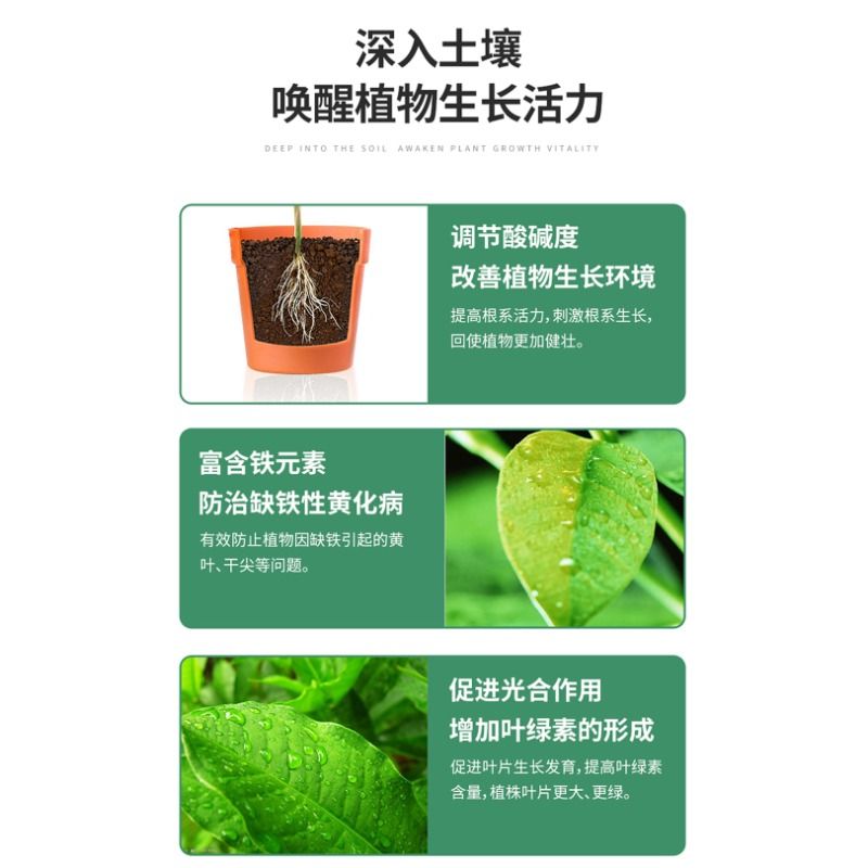 施可丰硫酸亚铁养花肥料酸性铁肥土壤茶花桂花板结叶绿素通用型-图1