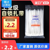 Self-locked Le dead dog Nylon Ties Wholesale Plastic High Strength Bundling Beamline Cord Fixed Zal Strap Black White