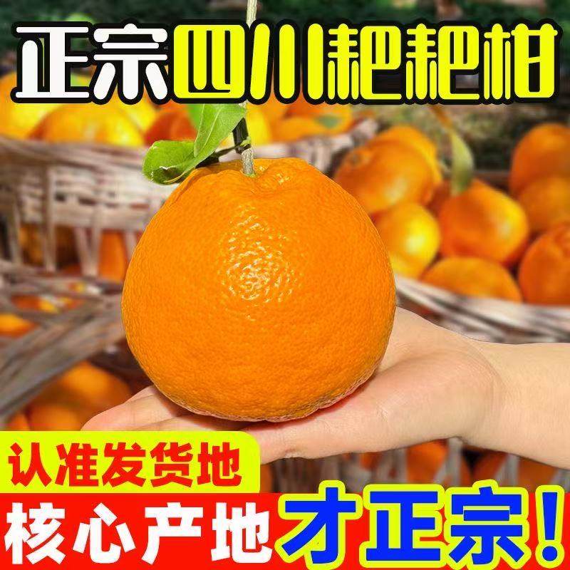 四川春见耙耙柑粑粑柑现摘新鲜水果橘子当季整箱杷杷柑丑桔子包邮,淘宝优惠券,粉丝福利购,淘宝优惠卷