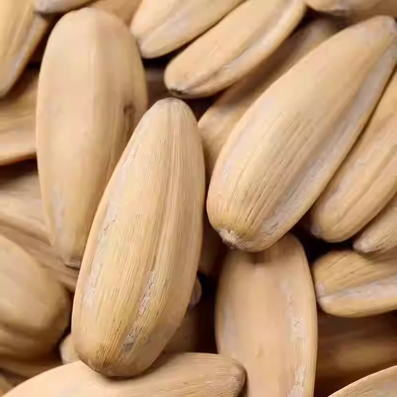 新货大颗粒五香多味瓜子休闲零食脱皮打手瓜子奶油葵花籽散装批发,淘宝优惠券,粉丝福利购,淘宝优惠卷