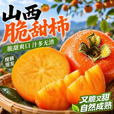 巧克力脆柿子脆甜多汁整箱包邮