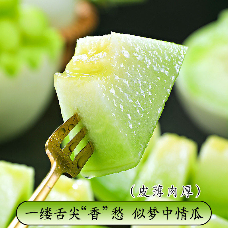 山东单县   玉菇甜瓜冰淇淋蜜瓜新鲜水果羊角密瓜口感佳甜度高