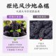 Xinjiang mulberry dried black mulberry special grade
