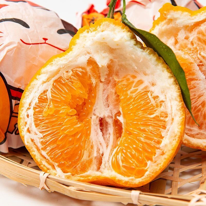 正宗四川不知火丑橘甜蜜多汁现采直发当季水果手剥榨汁桔子补维c