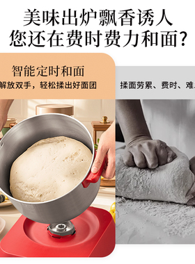 半球和面机家用揉面机智能定时小型自动搅面发面机9L大容量一体机