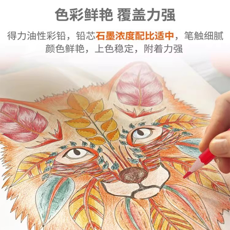 得力彩色铅笔可擦画画趣味创意48色油性水溶性24色手绘涂色笔套装绘画叠色彩笔画笔36色12色不易晕染不脏手,淘宝优惠券,粉丝福利购,淘宝优惠卷