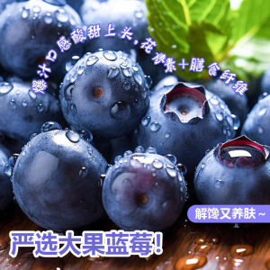 当季花香蓝莓新鲜果产地直发l25整箱特大果现摘现发顺丰包邮