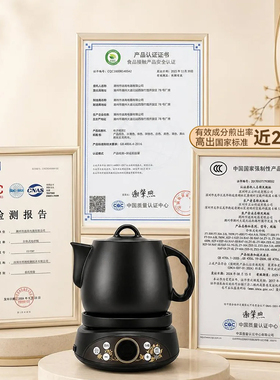 竹水溪中药煎药壶全自动熬药家用中药砂锅中医煮炖煲药煲砂锅药罐