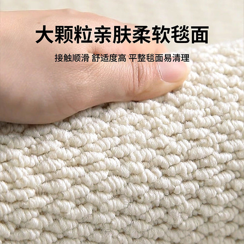仿剑麻地毯客厅耐磨仿猫爪免洗侘寂中古风地垫奶油高级卧室床边毯 - 图3