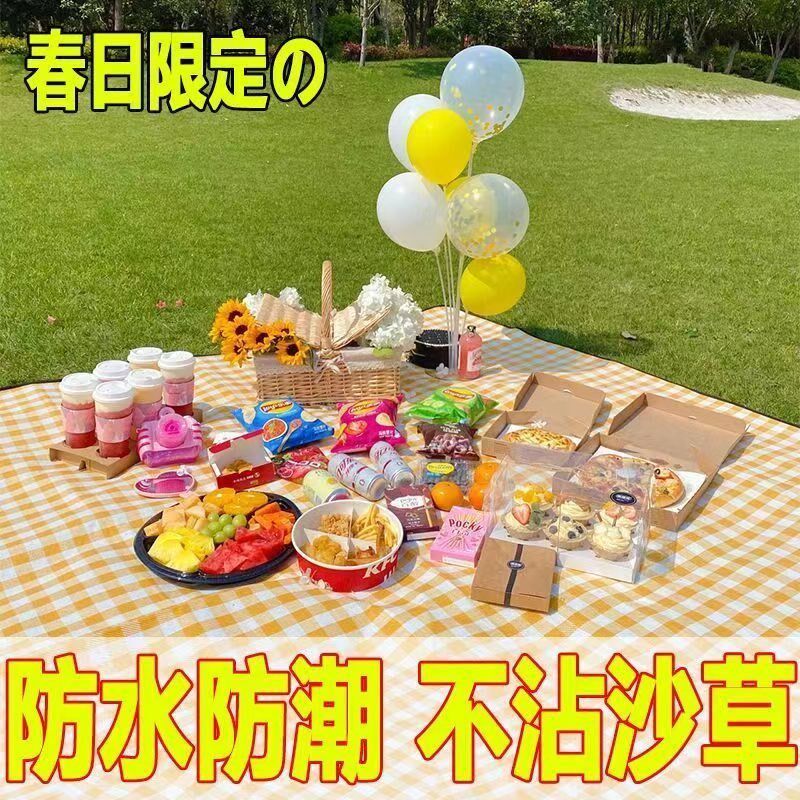 野餐垫防潮垫加厚户外野炊野营帐篷地垫坐垫防水草坪垫子便携折叠