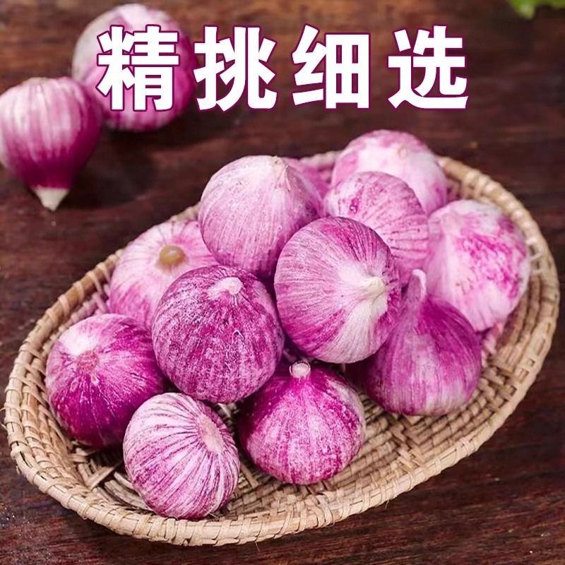 2024新云南独头蒜大蒜头新鲜紫皮独蒜湿辣干蒜5斤蔬菜当季果王 - 图0