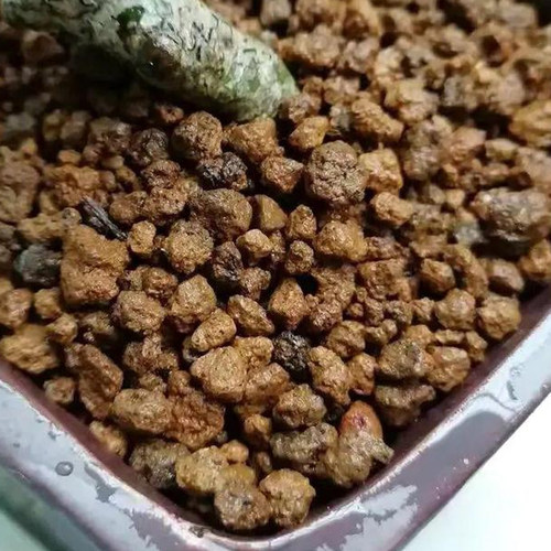 进口颗粒土二本线赤玉土桐生砂植金石鹿沼土轻石铺面拌土营养土 - 图2