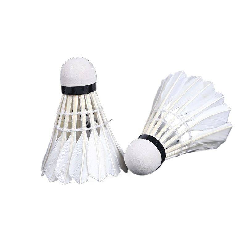 羽毛球正品12只装耐打王黑白羽室外训练比赛专用防风发光尼龙球6