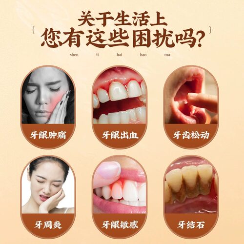 青盐炮附刷牙粉正品官方旗舰店固齿粉倪海厦牙膏牙齿松草动本牙龈 - 图0