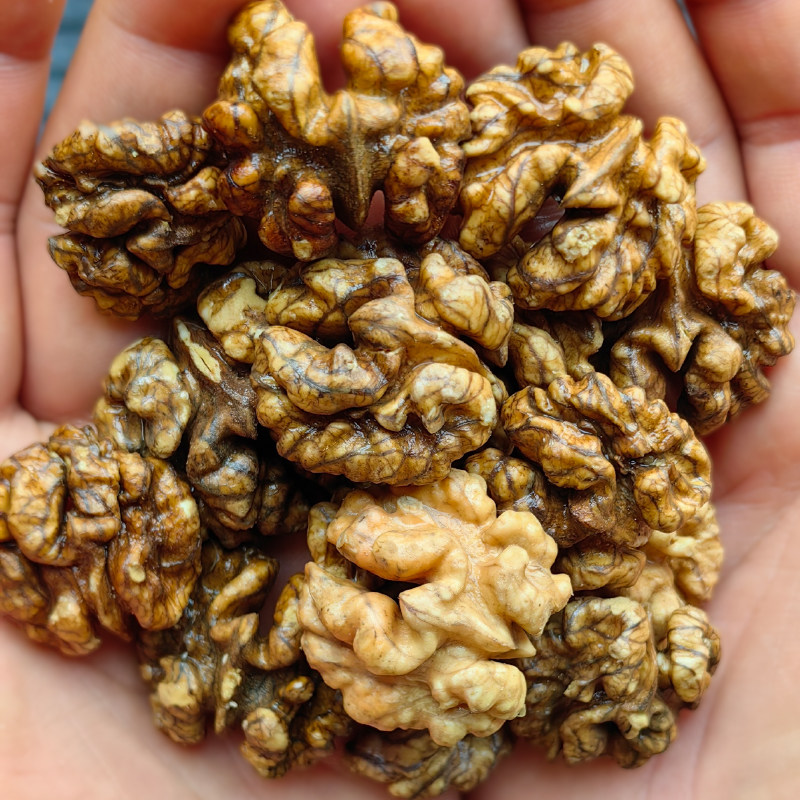 大颗粒！原味鲜核桃仁500g/袋